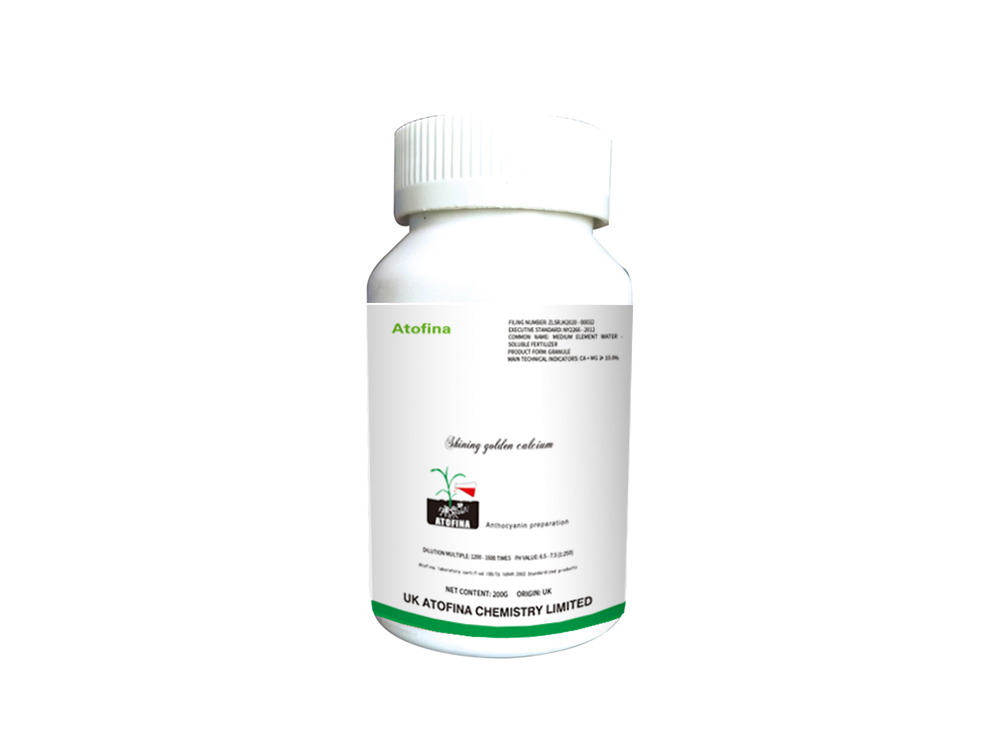 Shining golden calcium 200g