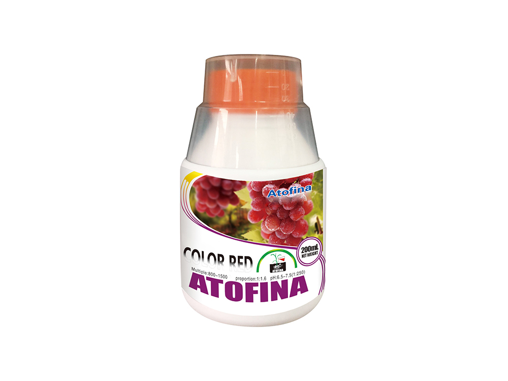 COLOR RED 200ml