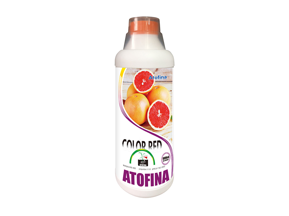 Color Red 1000ml