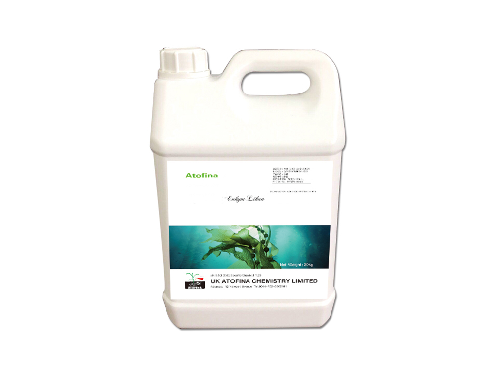 Enzymatic Kang 20kg