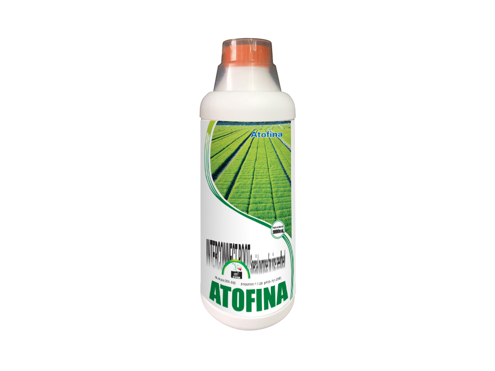 Interconnection Root 1000ml