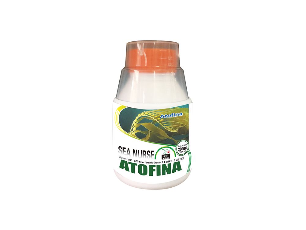 Sea Nurse No.2 200ml