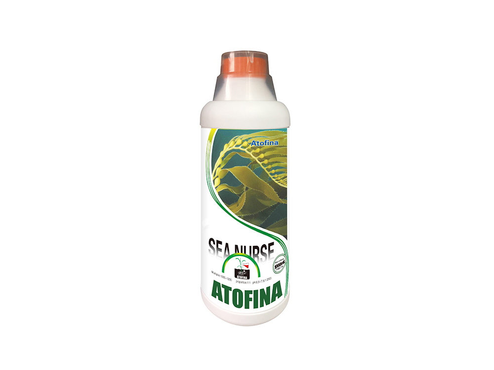 Sea Nurse No.2 1000ml