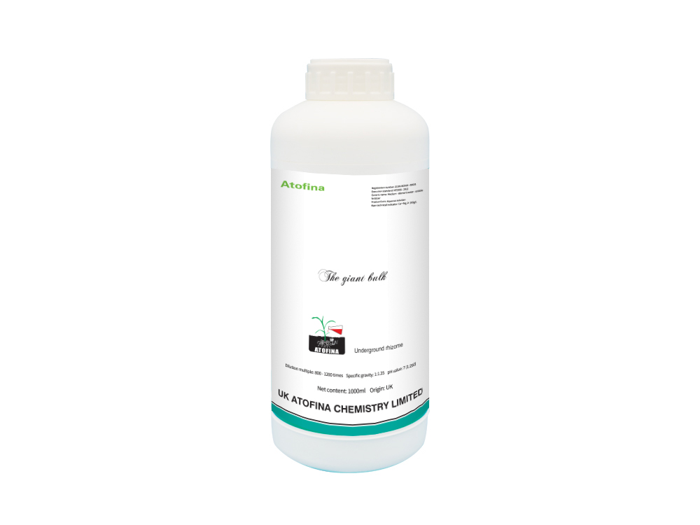 The giant bulk 1000ml