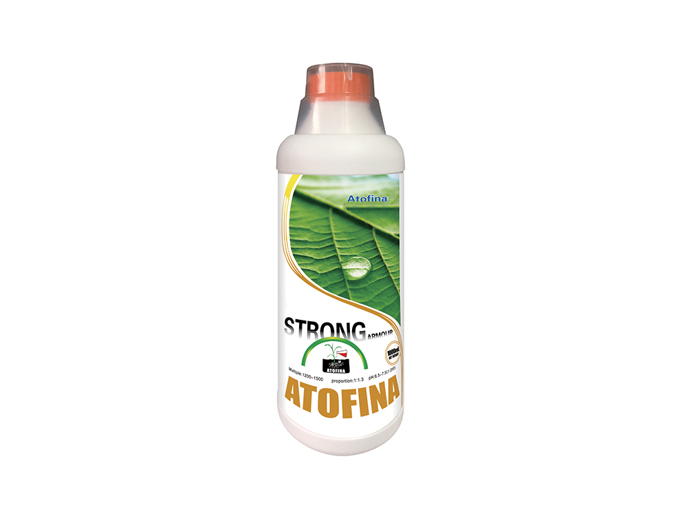 Strong armor 1000ml