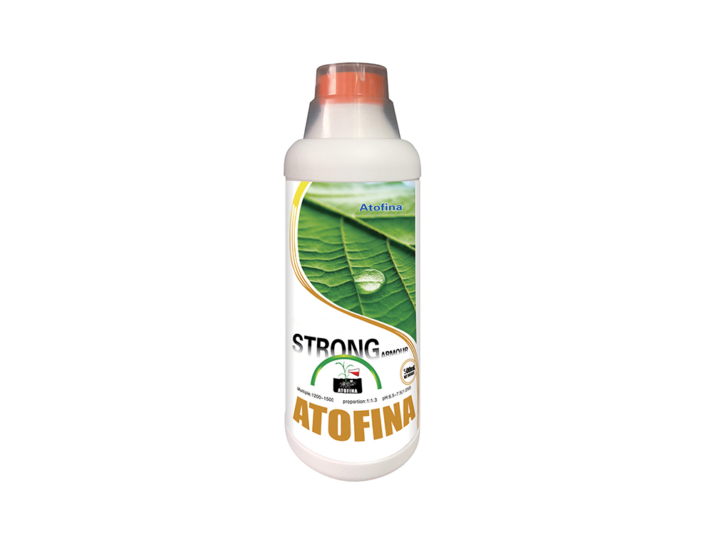 Strong armor 500ml