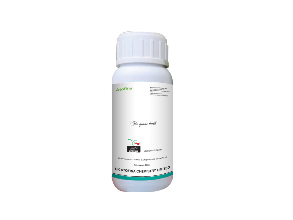 The giant bulk 100ml