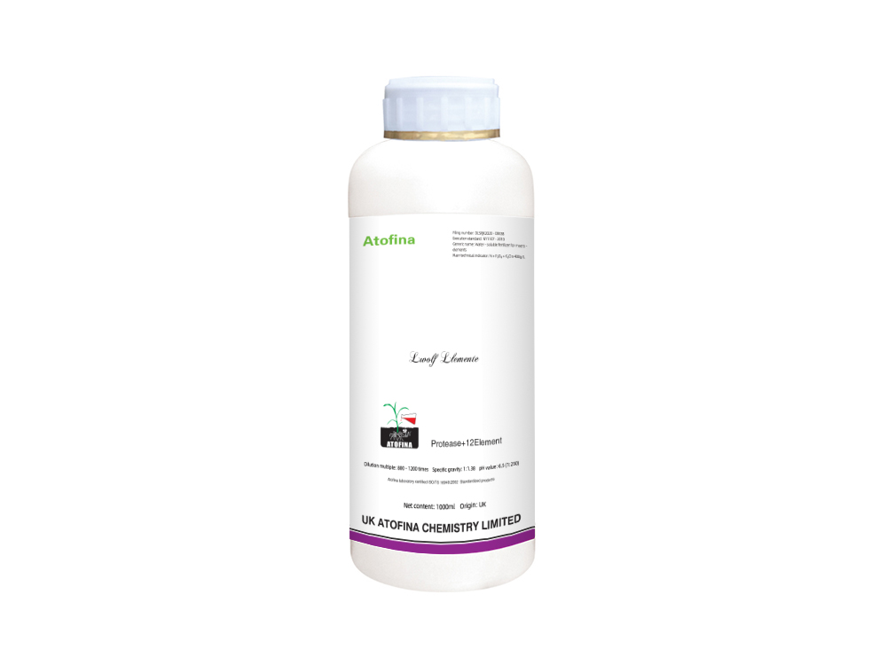Twelve Elements 1000ml