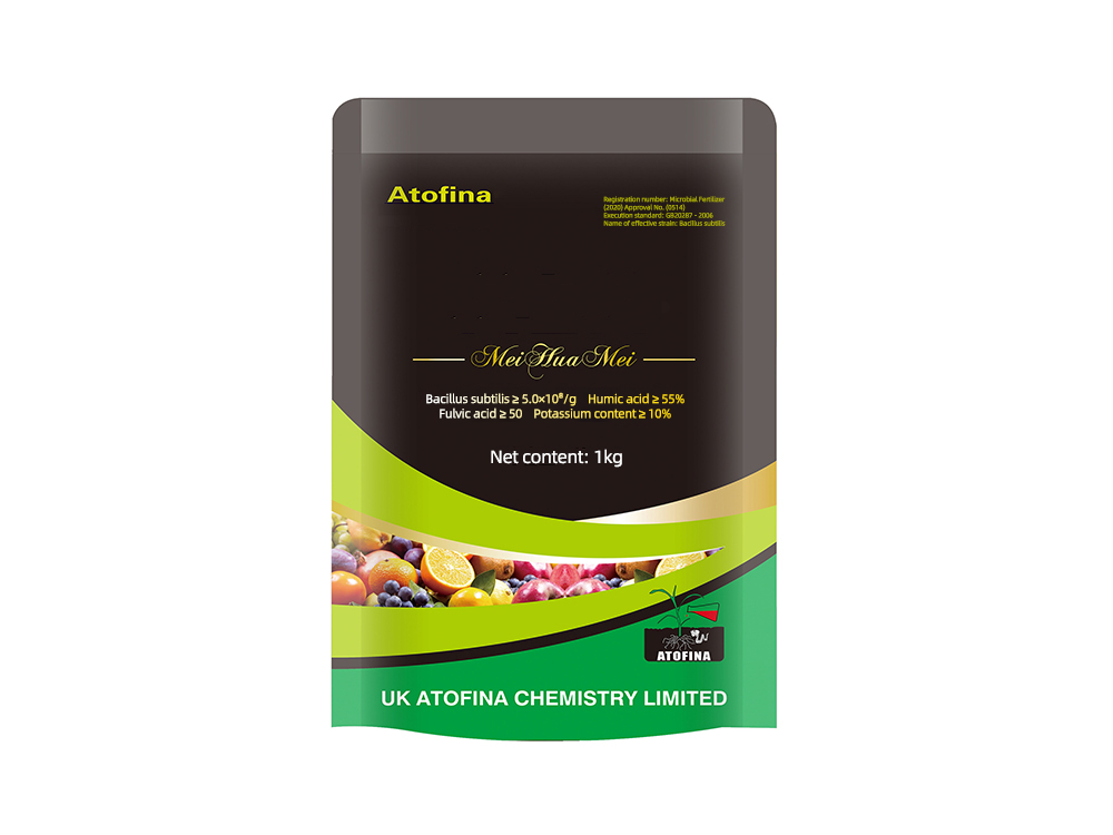 Beauty, praise, beauty 1kg