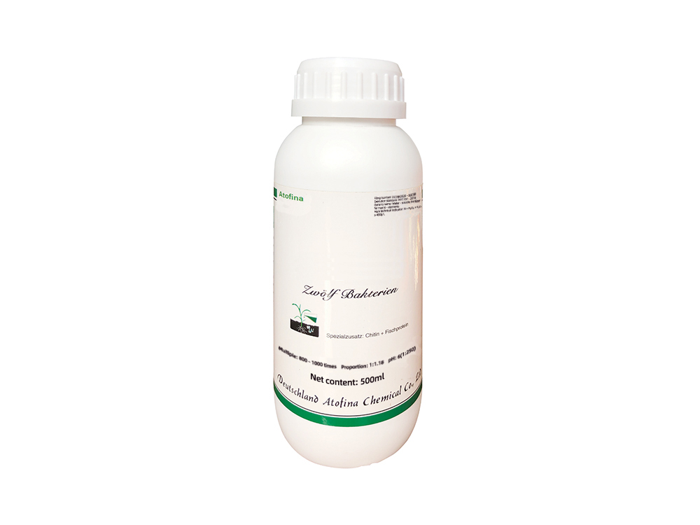Twelve Mushroom Medicine 500ml