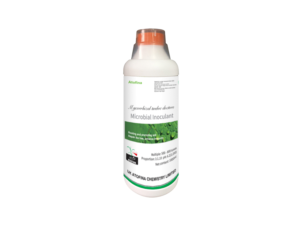 	Enzymatic Kang 1000ml