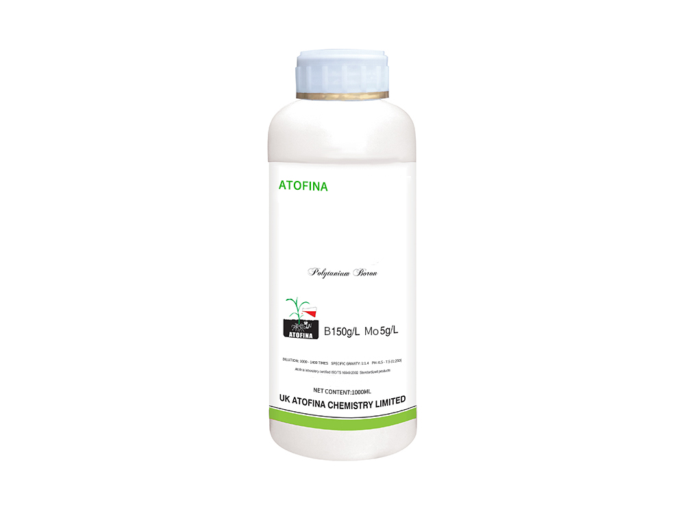 Polytanium Boton 1000ml