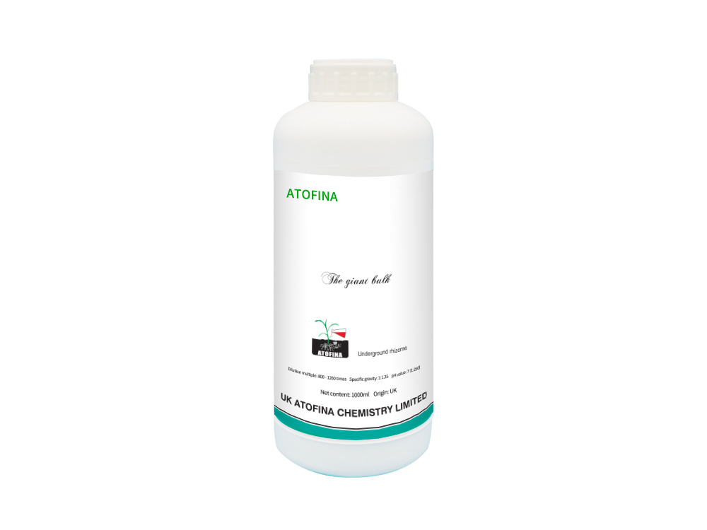 The giant bulk 1000ml
