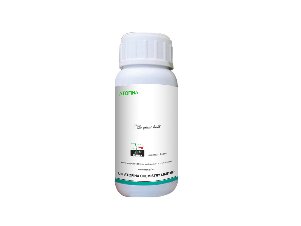 The giant bulk 100ml