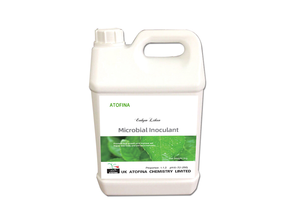 Enzymatic Kang 5kg