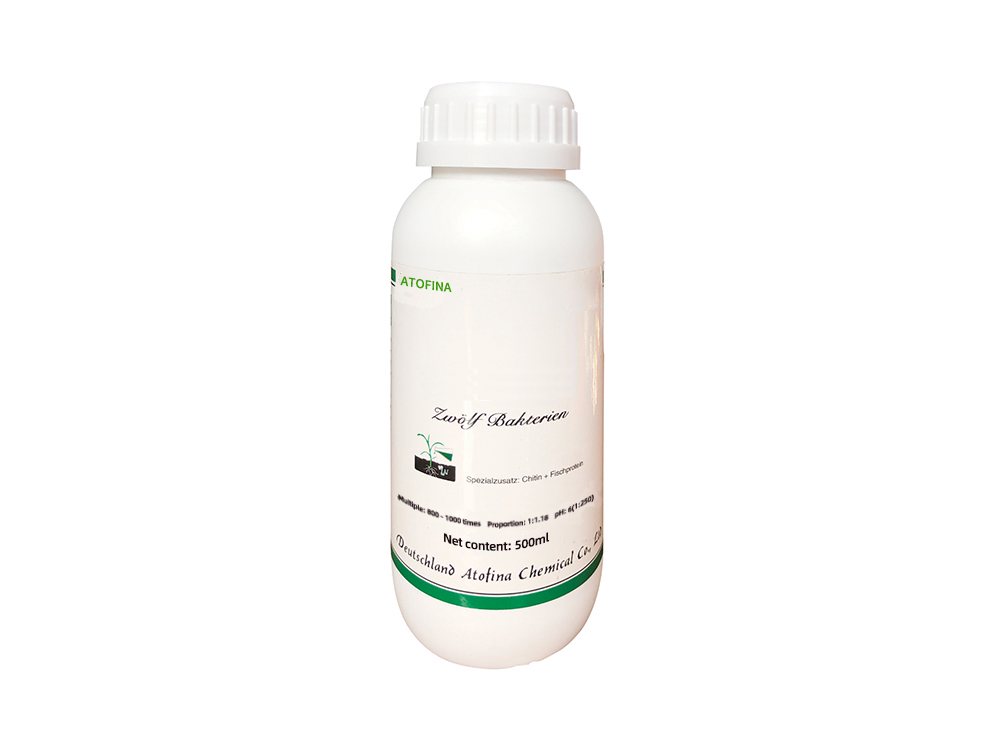 Twelve Mushroom Medicine 500ml